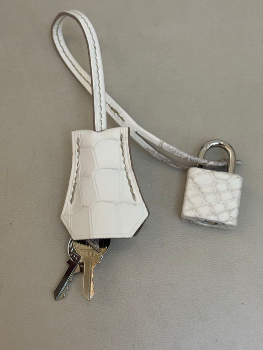 Hermes Birkin 30 in Himalaya Phw (Brand New)