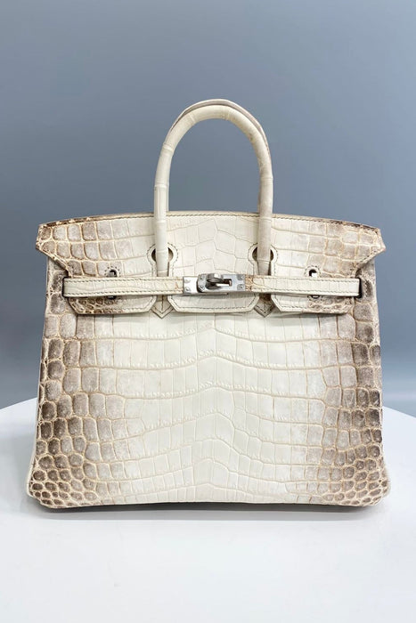 Hermes Birkin 25 in Himalaya Blanc Niloticus Phw
