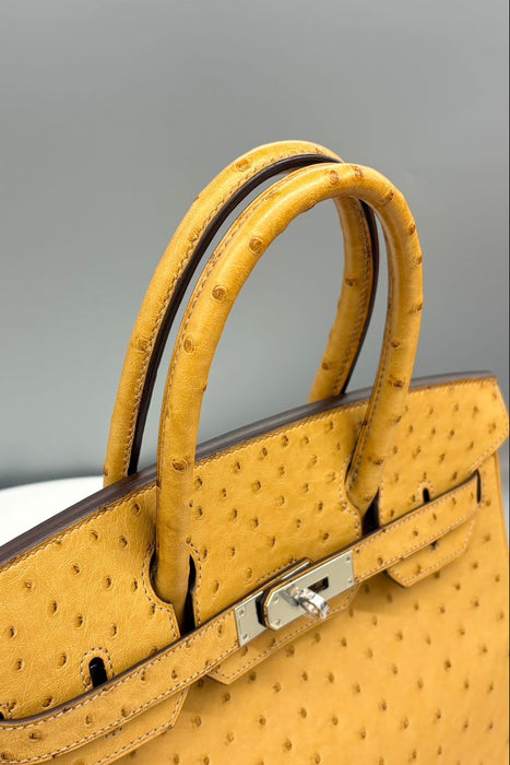 Hermes Birkin 30 in Tabac Camel Ostrich Phw
