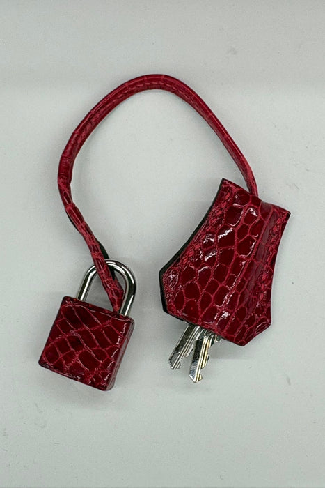 Hermes Kelly 25 in Braise Shiny Niloticus Phw