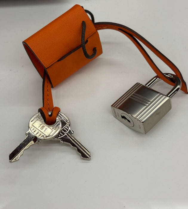 Hermes Birkin 20 in Day Faubourg Phw (Brand New)