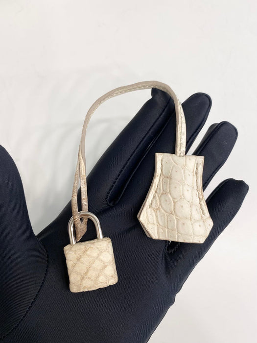 Hermes Birkin 25 in Himalaya Blanc Niloticus Phw