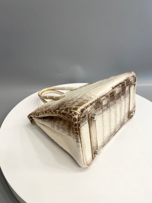 Hermes Birkin 25 in Himalaya Blanc Niloticus Phw