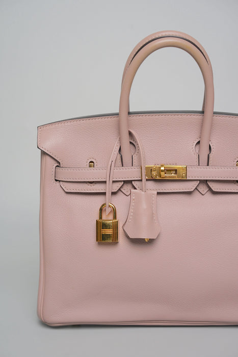 Hermes Birkin 25 in Glycine Evercolour Ghw