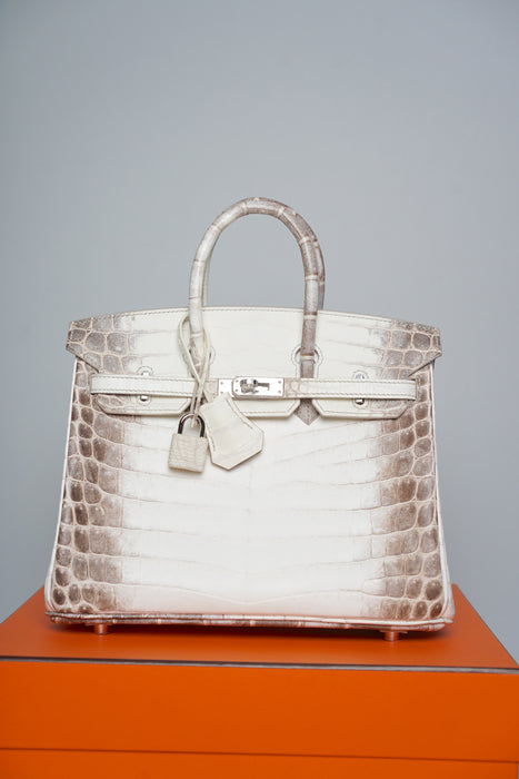 Hermes Birkin 25 in Himalayan Phw