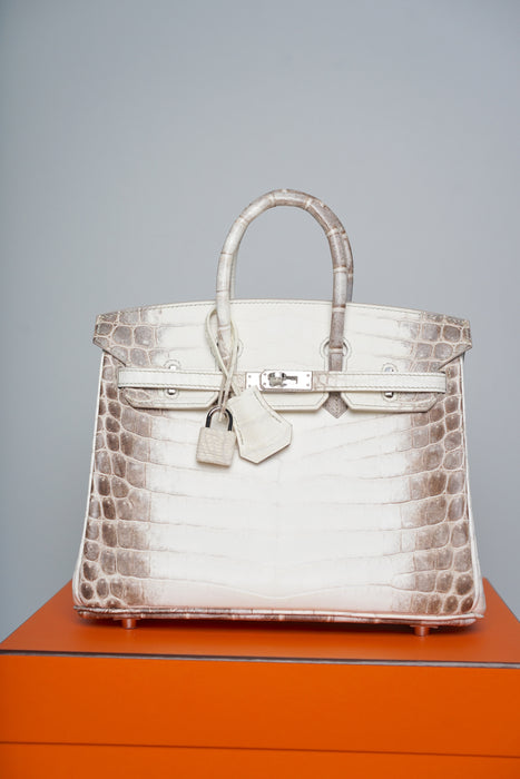 Hermes Birkin 25 in Himalayan Phw