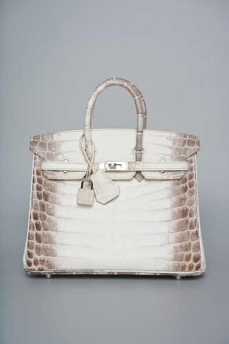Hermes Birkin 25 in Himalayan Phw
