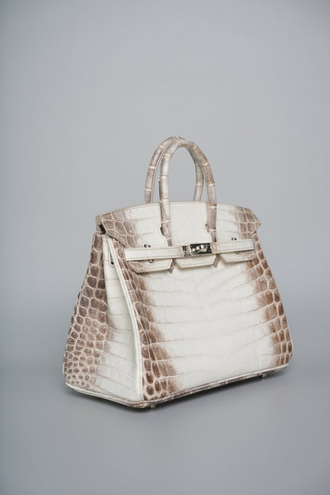 Hermes Birkin 25 in Himalayan Phw