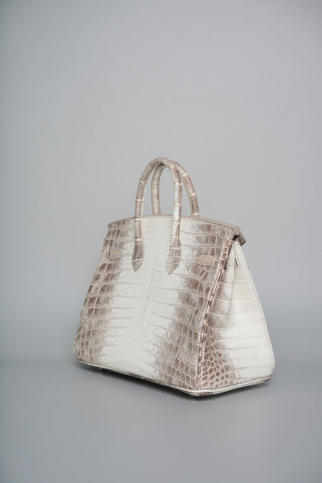 Hermes Birkin 25 in Himalayan Phw