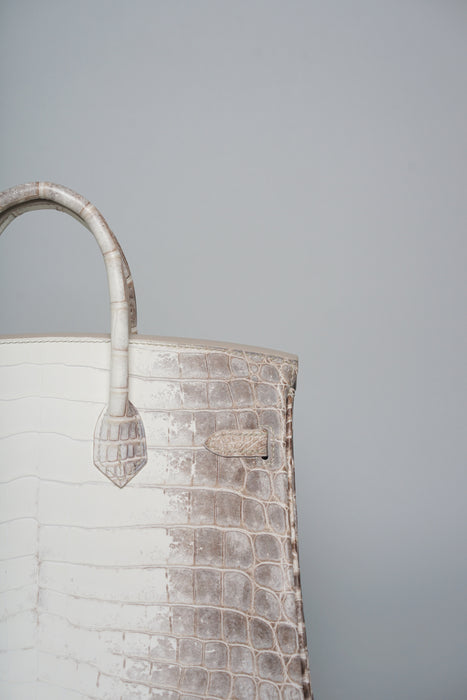 Hermes Birkin 25 in Himalayan Phw