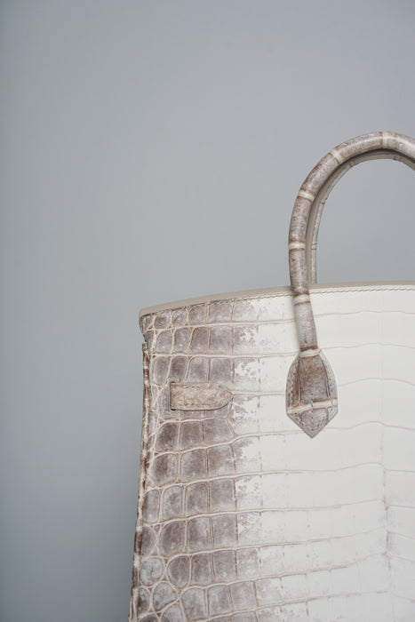 Hermes Birkin 25 in Himalayan Phw