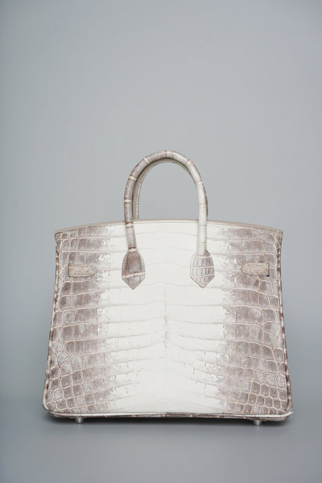Hermes Birkin 25 in Himalayan Phw