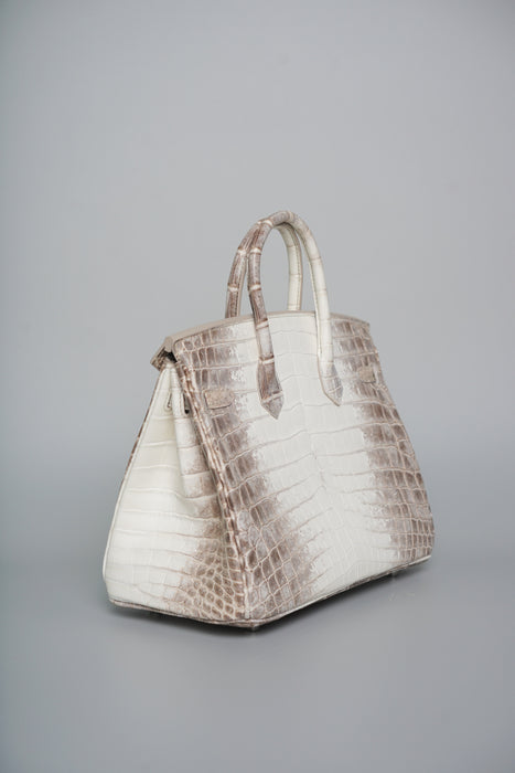 Hermes Birkin 25 in Himalayan Phw
