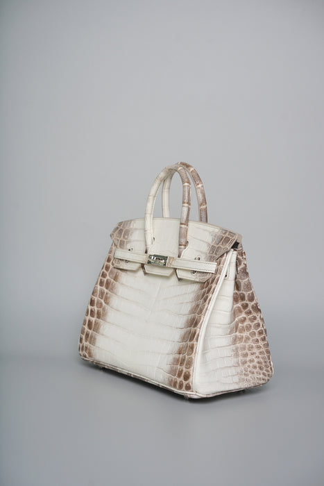 Hermes Birkin 25 in Himalayan Phw
