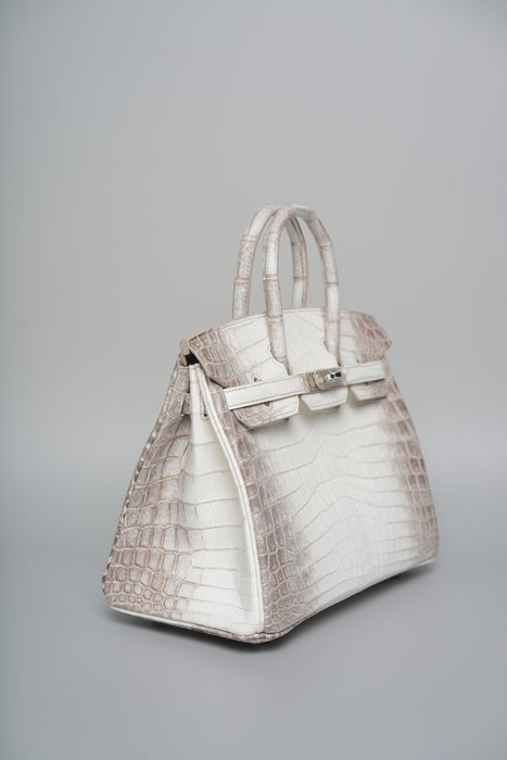 Hermes Birkin 25 in Himalaya Blanc Phw (Brand New)