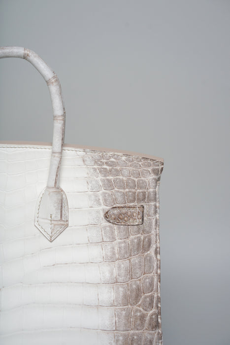 Hermes Birkin 25 in Himalaya Blanc Phw (Brand New)