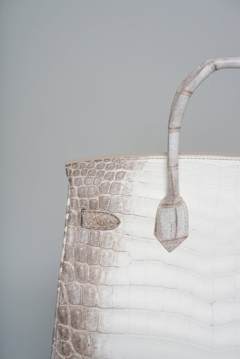 Hermes Birkin 25 in Himalaya Blanc Phw (Brand New)