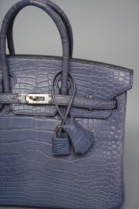 Hermes Birkin 25 in Brighton Matte Alligator Phw