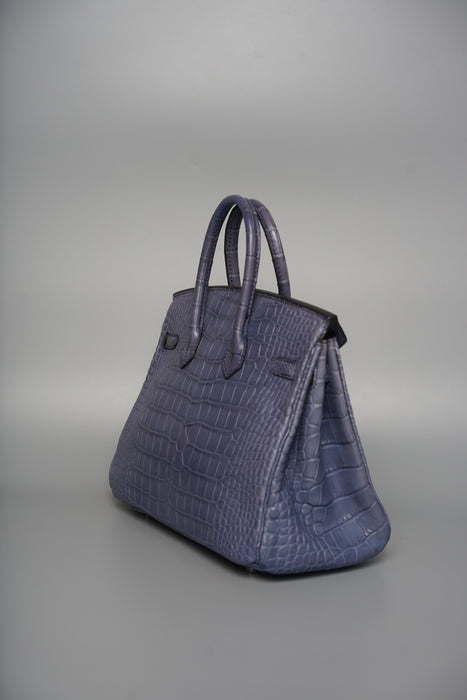 Hermes Birkin 25 in Brighton Matte Alligator Phw