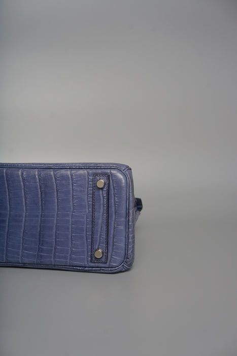 Hermes Birkin 25 in Brighton Matte Alligator Phw