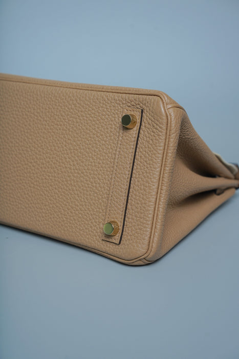 Hermes Birkin 25 in Chai Togo Ghw (Brand New)