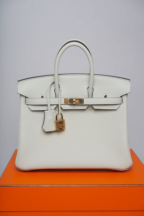 Hermes Birkin 25 in Gris Neve Togo Ghw
