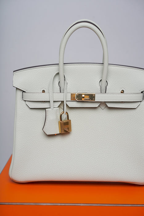 Hermes Birkin 25 in Gris Neve Togo Ghw