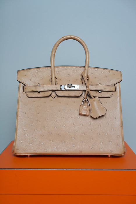 Hermes Birkin 25 in Chai Ostrich Phw
