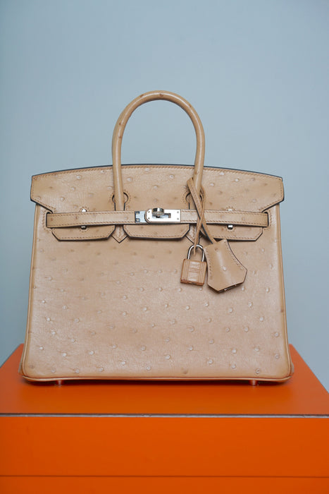 Hermes Birkin 25 in Chai Ostrich Phw