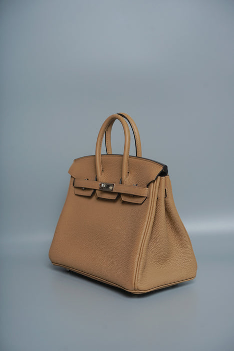 Hermes Birkin 25 in Chai Togo Phw