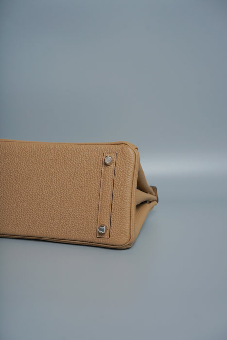 Hermes Birkin 25 in Chai Togo Phw