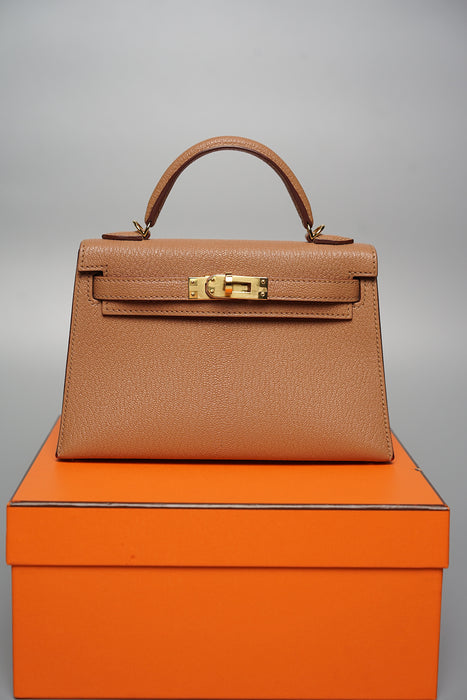 Hermes Kelly 20 in Quebracho Chevre Ghw