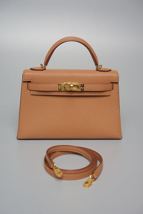 Hermes Kelly 20 in Quebracho Chevre Ghw