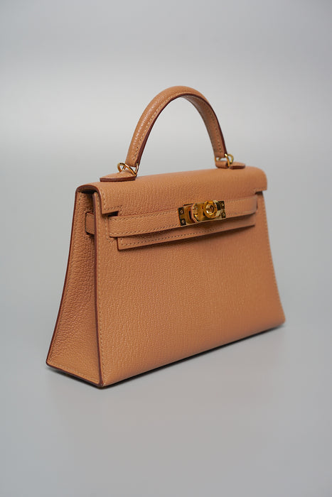 Hermes Kelly 20 in Quebracho Chevre Ghw