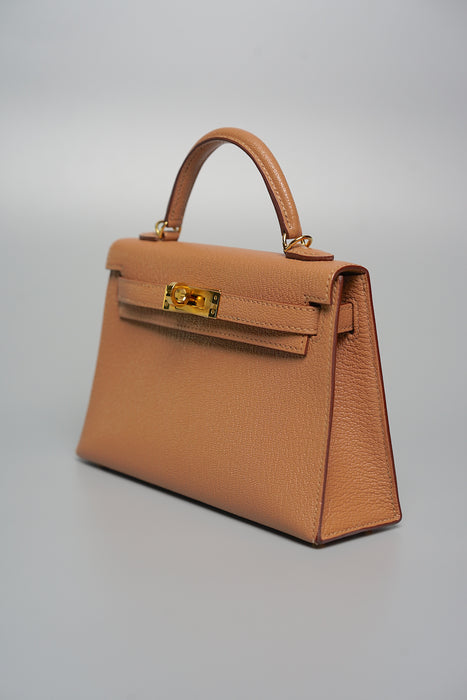 Hermes Kelly 20 in Quebracho Chevre Ghw