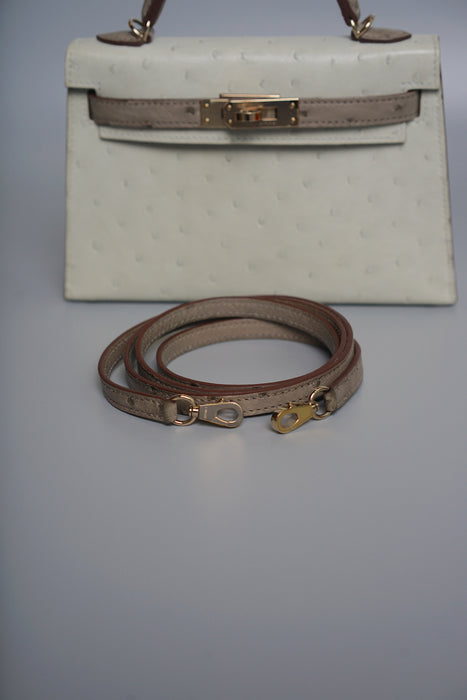 Hermes Kelly 20 in Gris Perle x Gris T Ostrich Pmb (Brand New)