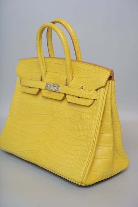 Hermes Birkin 25 in Mimosa Matte Alligator Phw (Brand New)