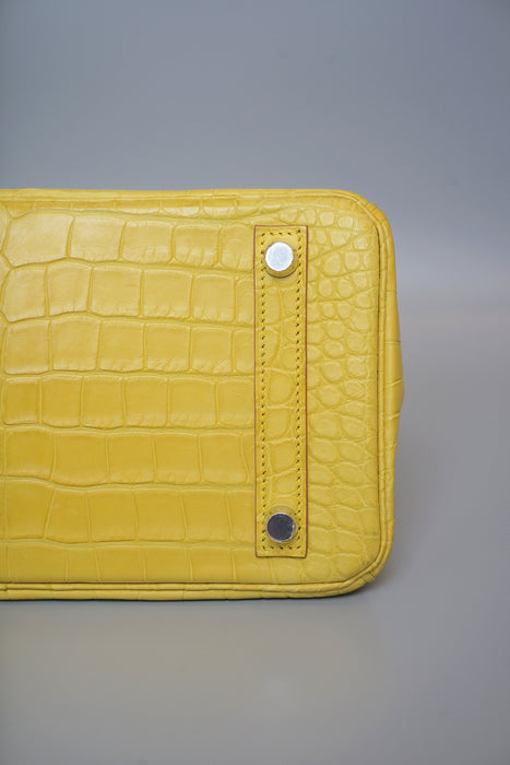 Hermes Birkin 25 in Mimosa Matte Alligator Phw (Brand New)