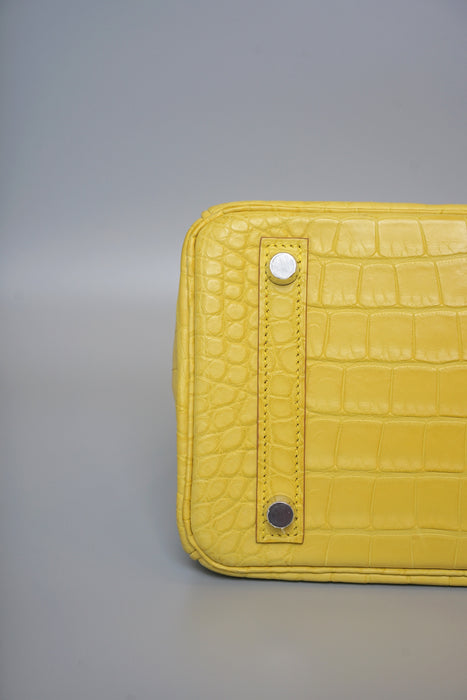 Hermes Birkin 25 in Mimosa Matte Alligator Phw (Brand New)
