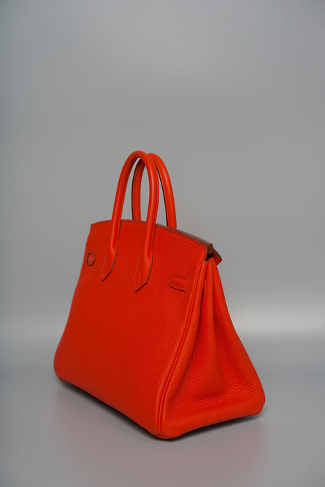 Hermes Birkin 25 in Capucine Togo Phw