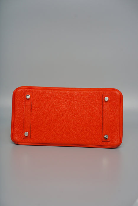 Hermes Birkin 25 in Capucine Togo Phw