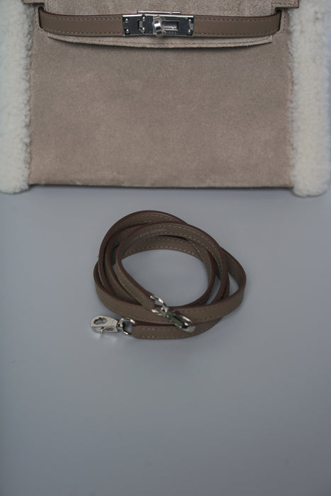 Hermes Kelly 20 in Teddy Etoupe Phw (Brand New)