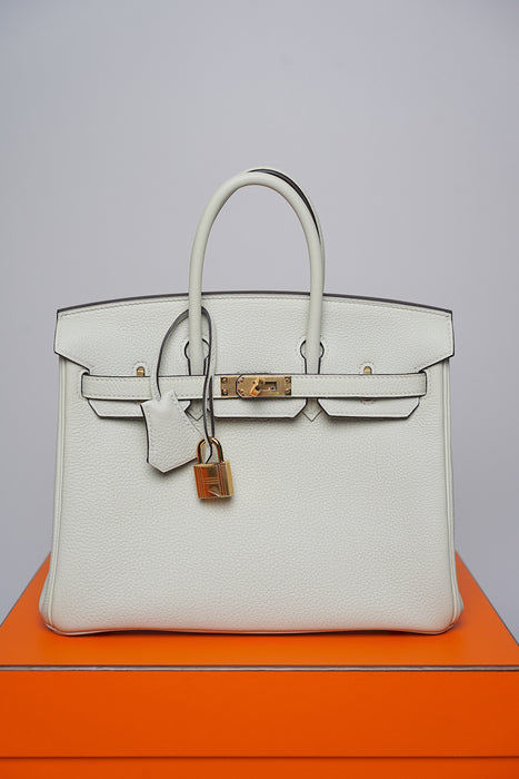 Hermes Birkin 25 Gris Neve Togo Ghw