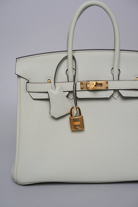 Hermes Birkin 25 Gris Neve Togo Ghw