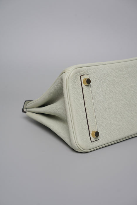 Hermes Birkin 25 Gris Neve Togo Ghw