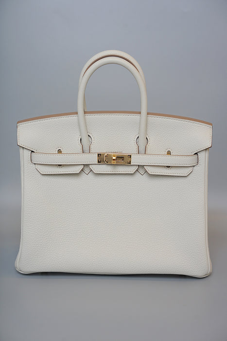 Hermes Birkin 25  in Gris Pale Togo Ghw