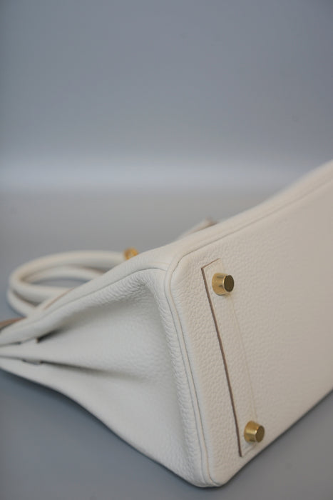 Hermes Birkin 25  in Gris Pale Togo Ghw