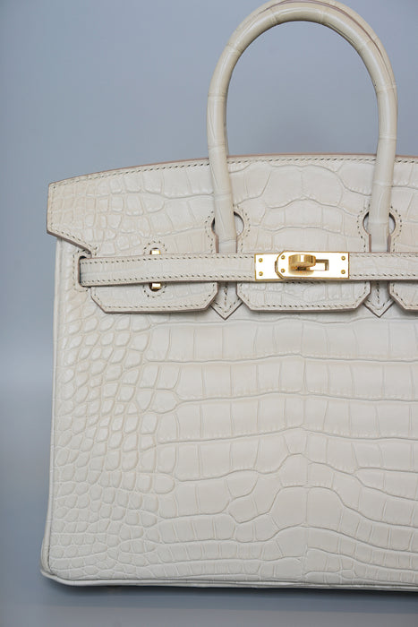 Hermes Birkin 25 in Beton Matte Alligator Ghw (Brand New)