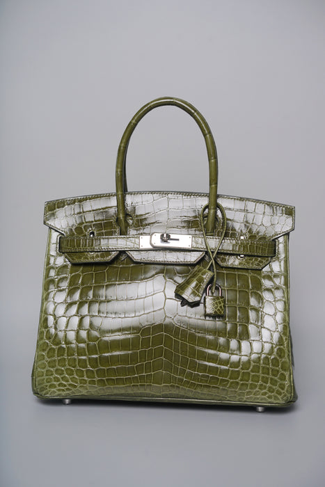 Hermes Birkin 30 in Canopee Shiny Niloticus Phw