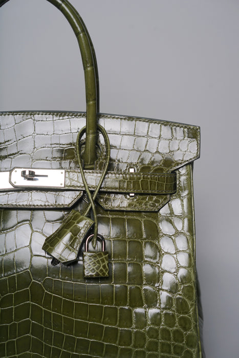 Hermes Birkin 30 in Canopee Shiny Niloticus Phw